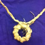 atelier parure végétale